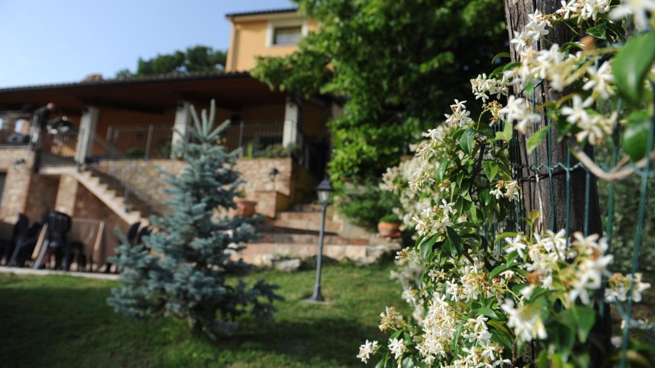 Casafe Tra Sogno E Realta Bed and Breakfast Narni Scalo Exterior foto